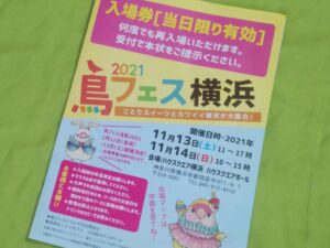 鳥フェス横浜2021の入場券