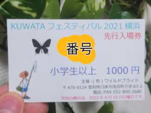 「KUWATA フェスティバル 2021 横浜・冬」の入場券