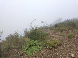 クワガタ採集登山⑥山頂付近の風景