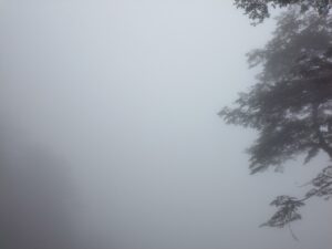ヒメオオ採集登山42-6（霧による視界不良）