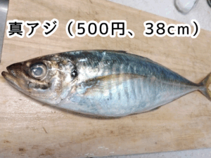 角上魚類で買った真アジ