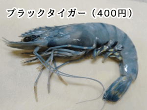 角上魚類で買ったブラックタイガー