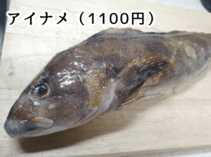 角上魚類で買ったアイナメ