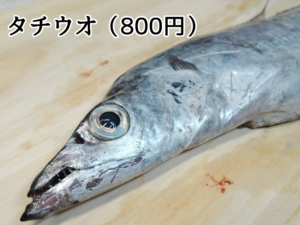角上魚類で購入した太刀魚（タチウオ）