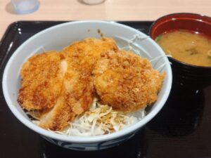 浜名湖SA「赤赤鶏のたれカツ丼」