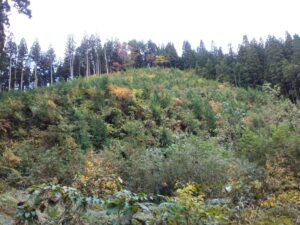 東北旅行⑯忘れたけど神室山登山口付近の城跡