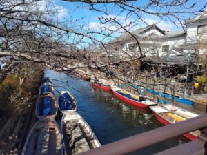 柳川川下り 1