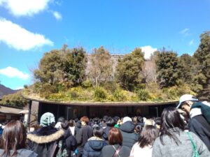 太宰府天満宮 2