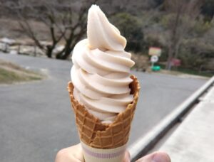 10日九州旅 （そよかぜ館ぱーしもんのほし柿ソフト）4-10