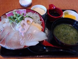 10日九州旅 （うしぶか海彩館のあおさの漁師のまかない丼）5-17