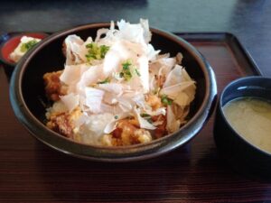 10日九州旅 （海音のいぶから丼）6-11