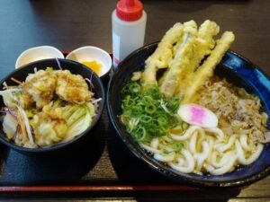 10日九州旅 （資さんうどんのかしわごぼ天んミニ鶏タル丼セット）6-25