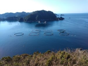 10日九州旅 （丸木崎展望所）6-7