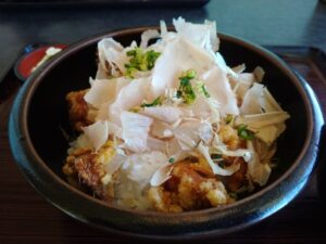 10日九州旅 （海音のいぶから丼）6-12
