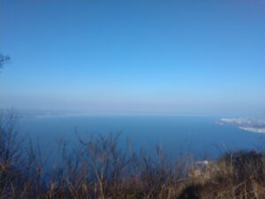 10日九州旅（大分市の高崎城からの景色）8-24
