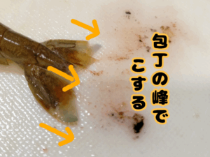 テナガエビの尻尾切り 4