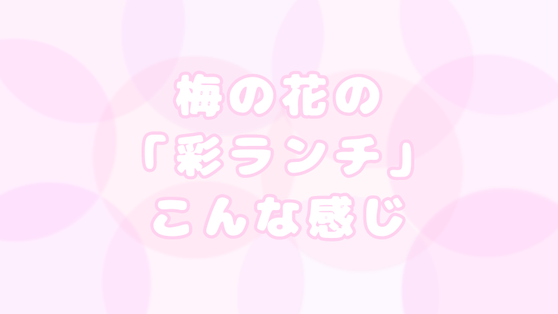 アイキャッチ（梅の花）
