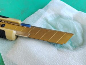 サボテンの接ぎ木に初挑戦 4