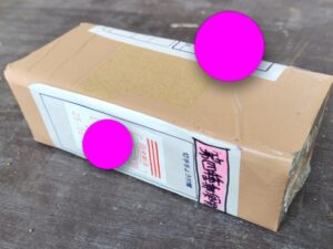 アガベを始めました 1