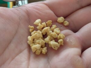 有機栽培大豆ミール 2