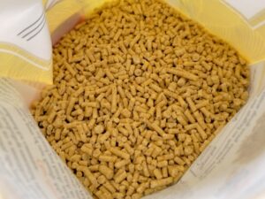 ラフィーバーのぺレット （カナリア）2