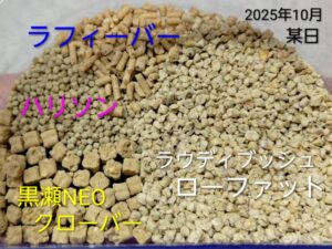 マメルリハの主食ペレット（2025年10月のある日）