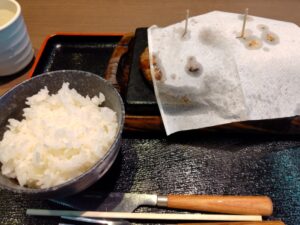 感動の肉と米「ハンバーグ＆ハラミコンボ」