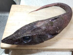 バローで購入したトウジン(唐人)1