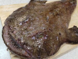 横浜のバローで買った鮟鱇