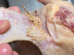 親鶏でサムゲタン作り 1