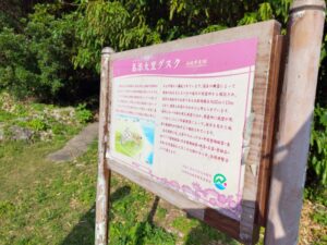 南城市の島添大里グスク 2