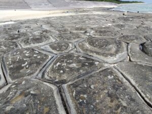 久米島の奥武島の畳石 2