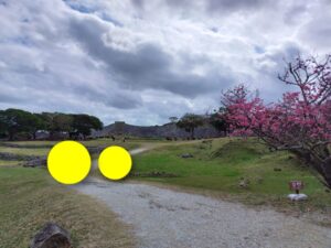 今帰仁城跡 公園 1