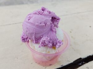 今帰仁城跡公園で食べたアイス