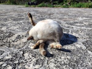 ヤチムンの里 2