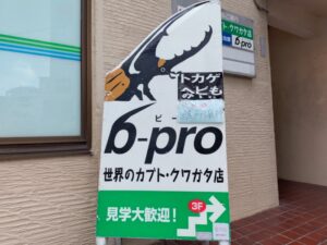 b-prp（沖縄の昆虫ショップ）