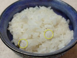 こんにゃくごはん（まえさと）を使ったご飯