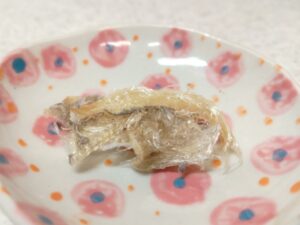 自作のフカヒレ作り①