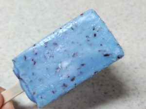 赤城乳業「青いチョコミント」2