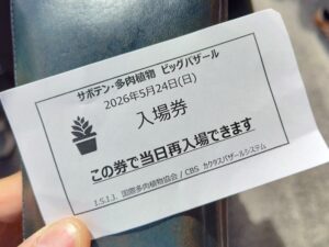 ビッグバザールの入場券