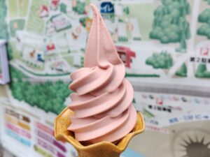 愛知牧場の苺のソフトクリーム