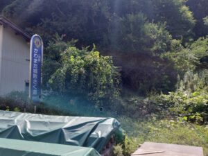 河俣城（福島県川俣町）1