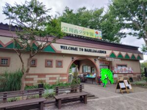 川西ダリヤ園（山形県川西町）1