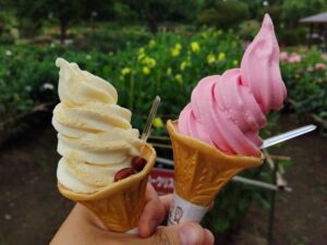 ダリヤソフトクリーム＆紅大豆ソフトクリーム（川西ダリヤ園）