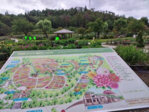 川西ダリヤ園（山形県川西町）2