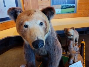 道の駅おびら鰊番屋 2