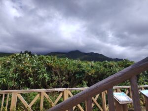 見返台園地展望台（北海道利尻町） 3