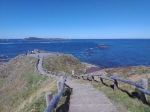スコトン岬（北海道礼文島）1