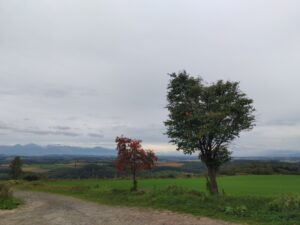 就実の丘（北海道旭川市）4