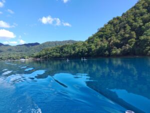 水中観光船（支笏湖観光船） からの景色 2